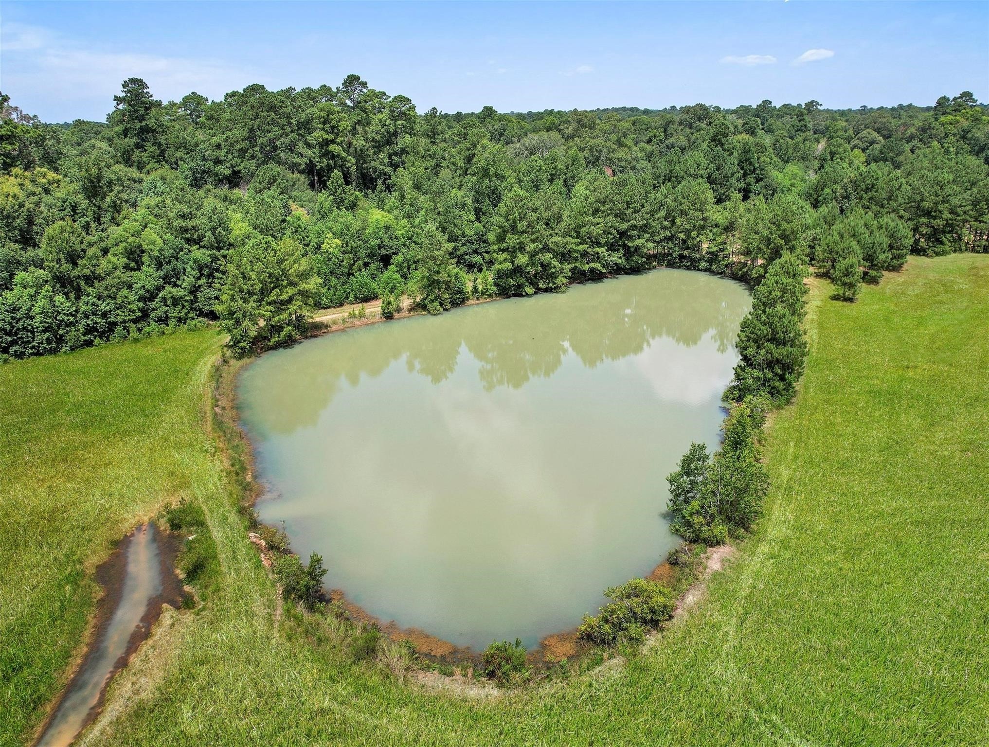 11304 Fostoria Road Cleveland, TX 77328 - Photo 22 of 32 a view of a lake in a forest