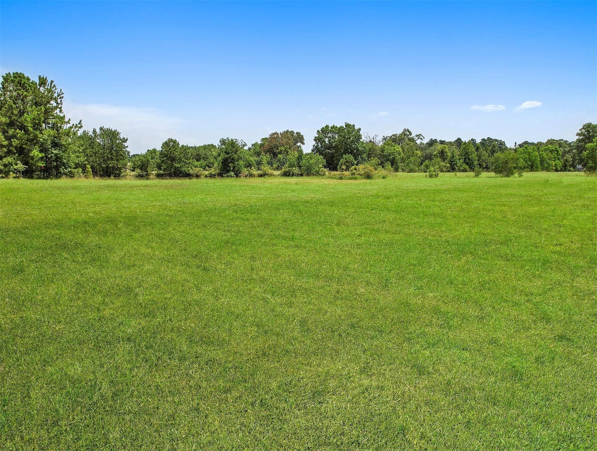 11304 Fostoria Road Cleveland, TX 77328 - Photo 25 of 32 a view of a grassy field with trees in the background