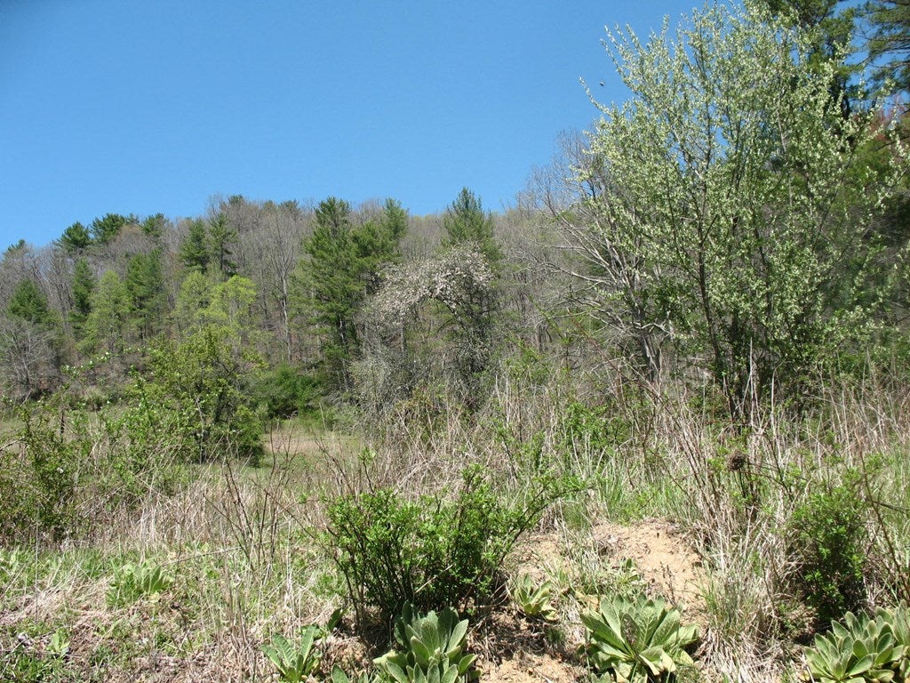 24 Edwards Chapel Road Fries, VA 24330 - Photo 28 of 30 Gallery Image 28