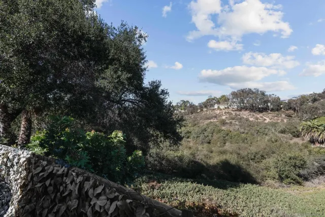 a view of a yard with plants and trees