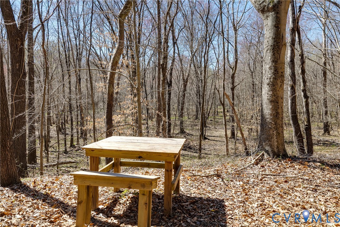 14 Ca Ira Road Cumberland, VA 23040 - Photo 14 of 35