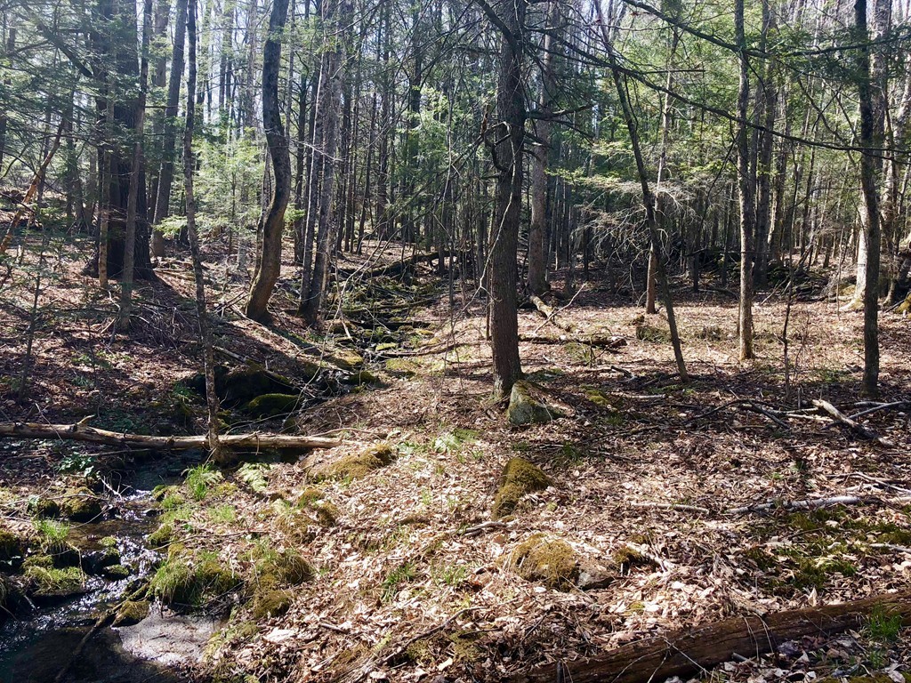 0 Mount Road Cummington, MA 01026 - Photo 16 of 22 Gallery Image 16