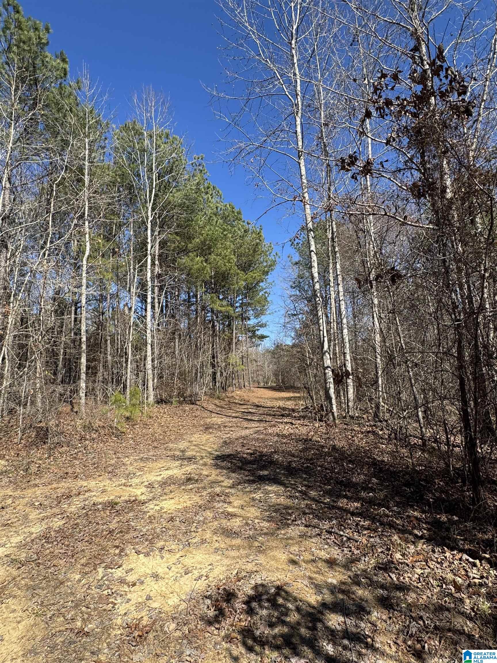 19063 Westside Road, Unit 6 Brookwood, AL 35444 - Photo 7 of 25