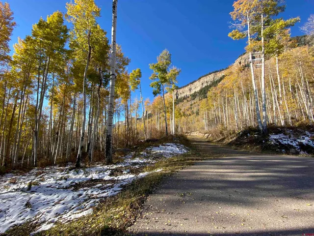 a view of street along with trees