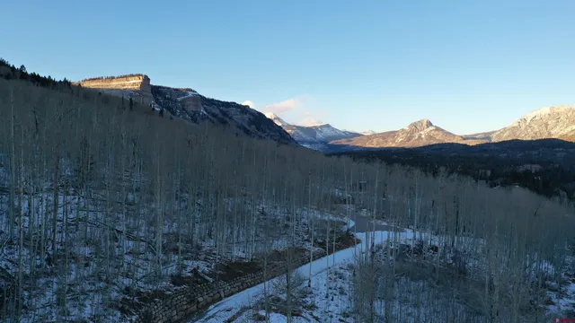 a view of a dry yard with green space