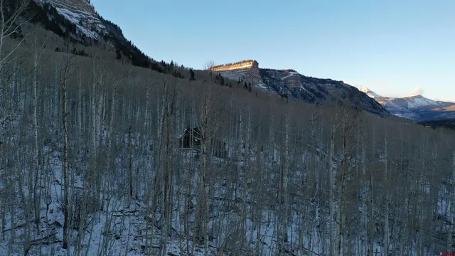 a view of a dry yard with wooden fence