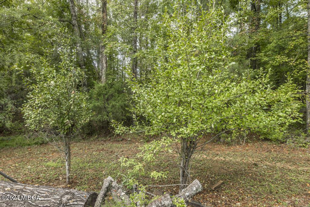 1400 Smith Chapel Road Musella, GA 31066 - Photo 24 of 28 a view of a forest