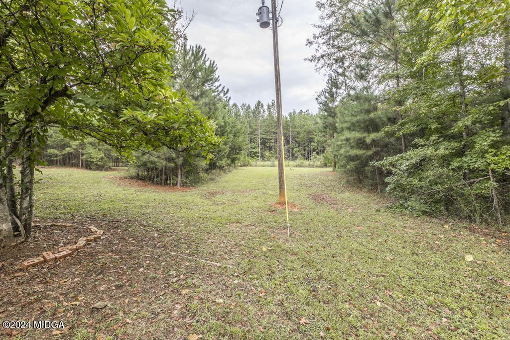 1400 Smith Chapel Road Musella, GA 31066 - Photo 27 of 28 a backyard of a house with lots of green space