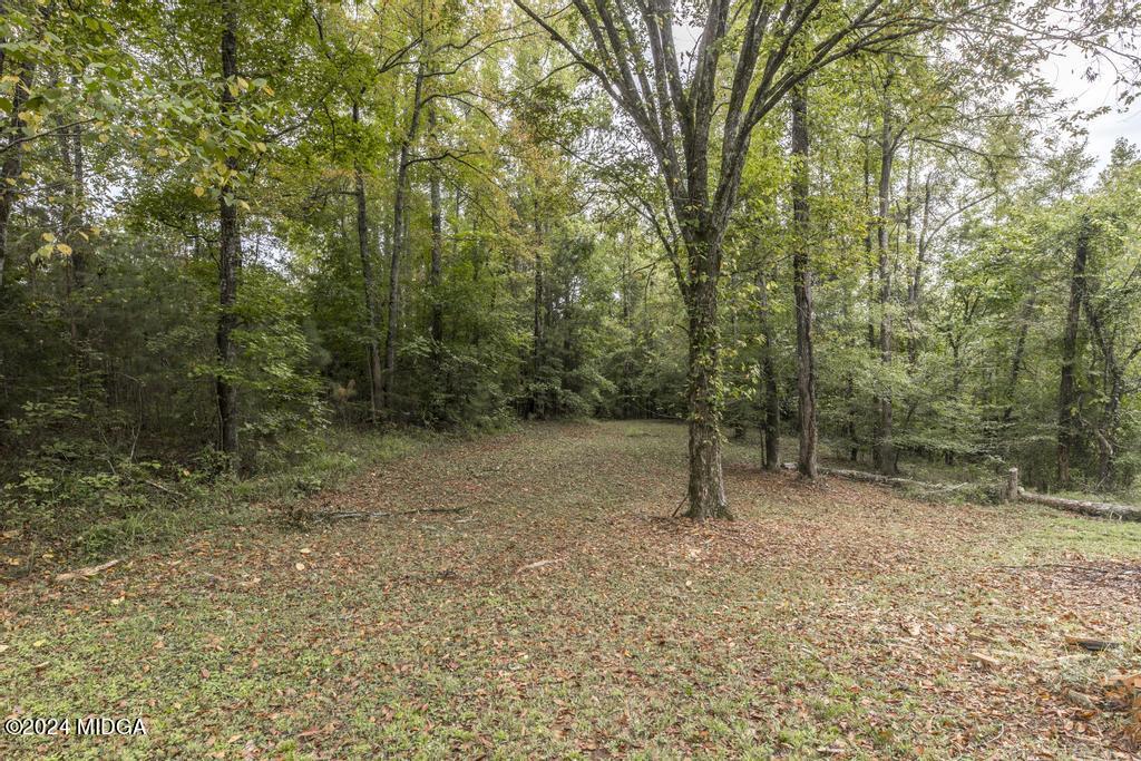 1400 Smith Chapel Road Musella, GA 31066 - Photo 28 of 28 a view of outdoor space and trees