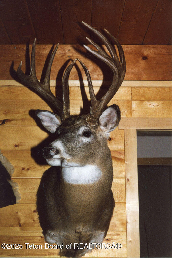338 Gas Hills Road Riverton, WY 82501 - Photo 16 of 36 muley 2
