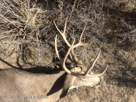 338 Gas Hills Road Riverton, WY 82501 - Photo 17 of 36 muley