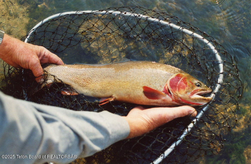 338 Gas Hills Road Riverton, WY 82501 - Photo 27 of 36 fish 4