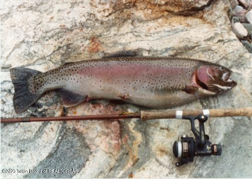 338 Gas Hills Road Riverton, WY 82501 - Photo 29 of 36 fish 3