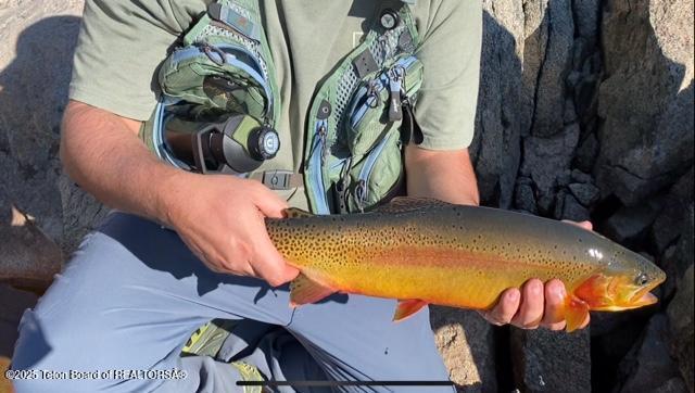 338 Gas Hills Road Riverton, WY 82501 - Photo 30 of 36 fish 13