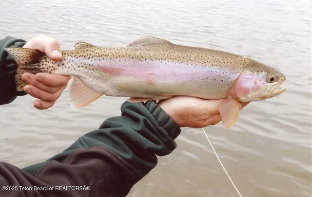 $4,875,000 | 338 Gas Hills Road, Riverton, WY 82501