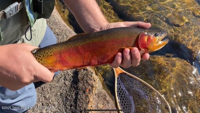 338 Gas Hills Road Riverton, WY 82501 - Photo 32 of 36 fish 12