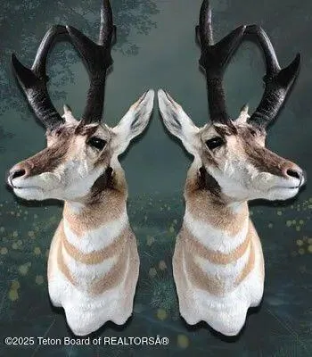 $4,875,000 | 338 Gas Hills Road, Riverton, WY 82501