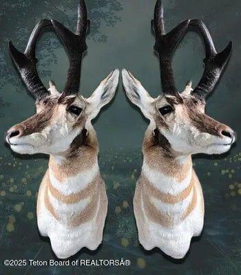 338 Gas Hills Road Riverton, WY 82501 - Photo 33 of 36 Trophy antelope