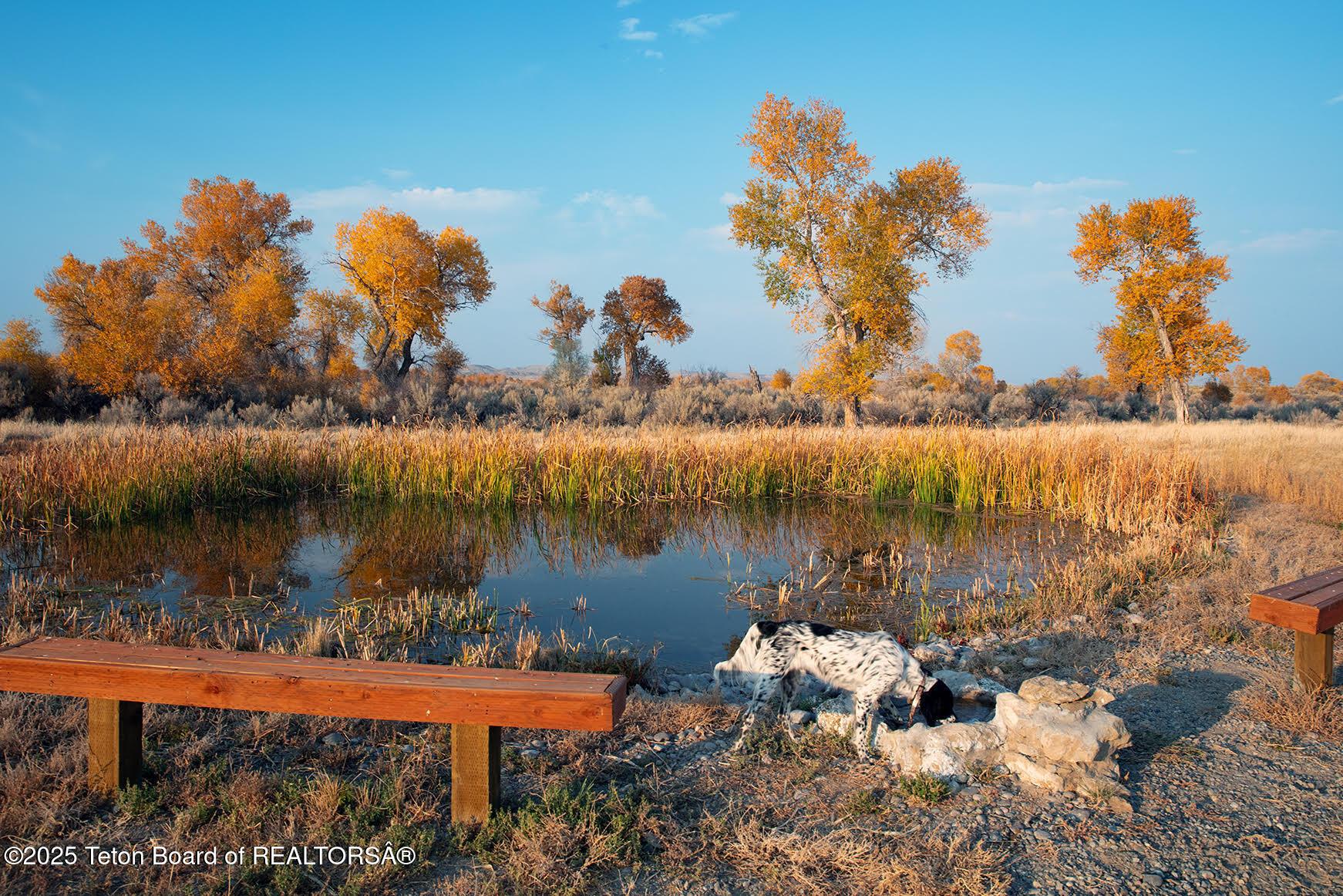 338 Gas Hills Road Riverton, WY 82501 - Photo 4 of 36 Wind River 3