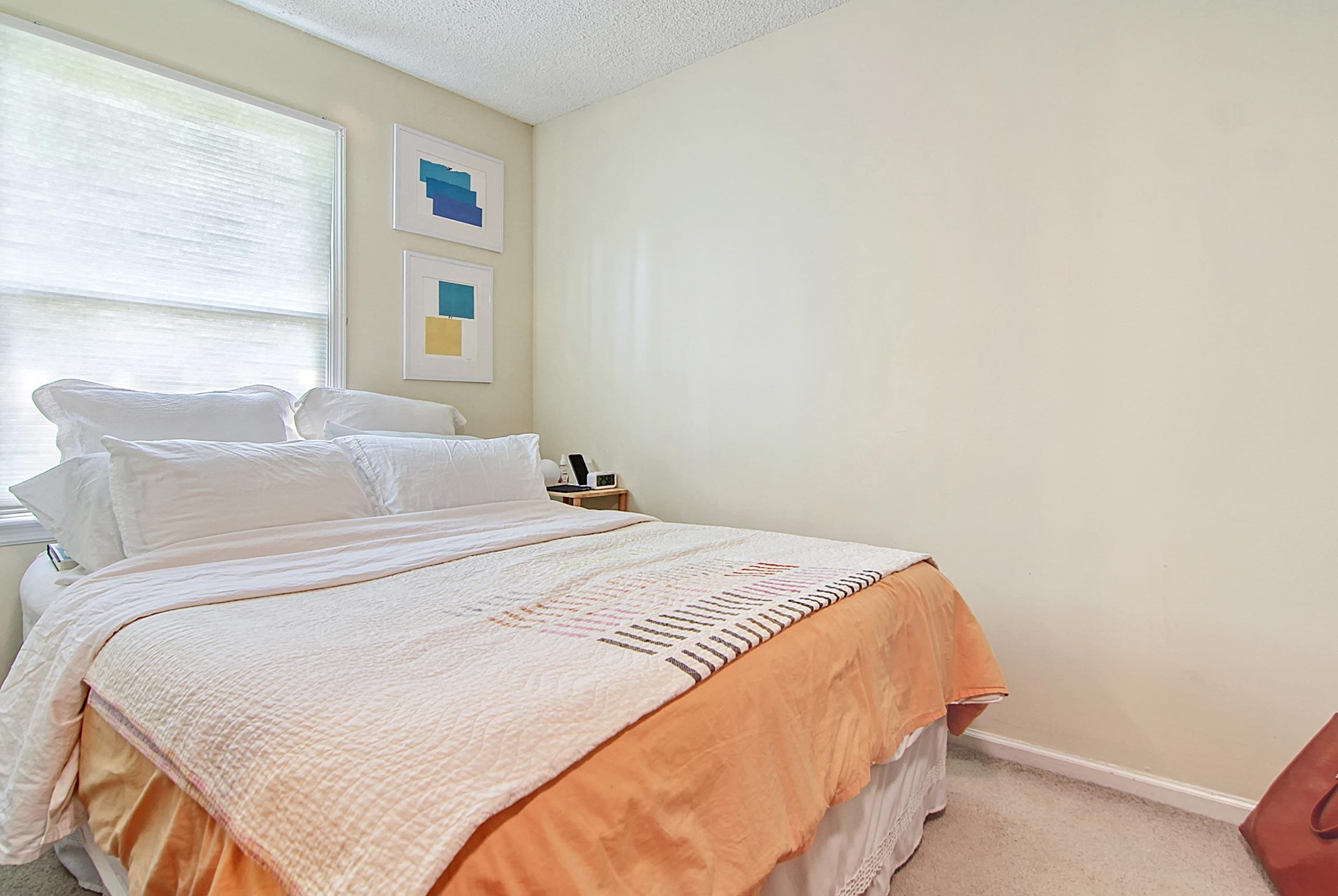 380 Sumter Street Charleston, SC 29403 - Photo 16 of 48 CREM_380 Sumter D_008