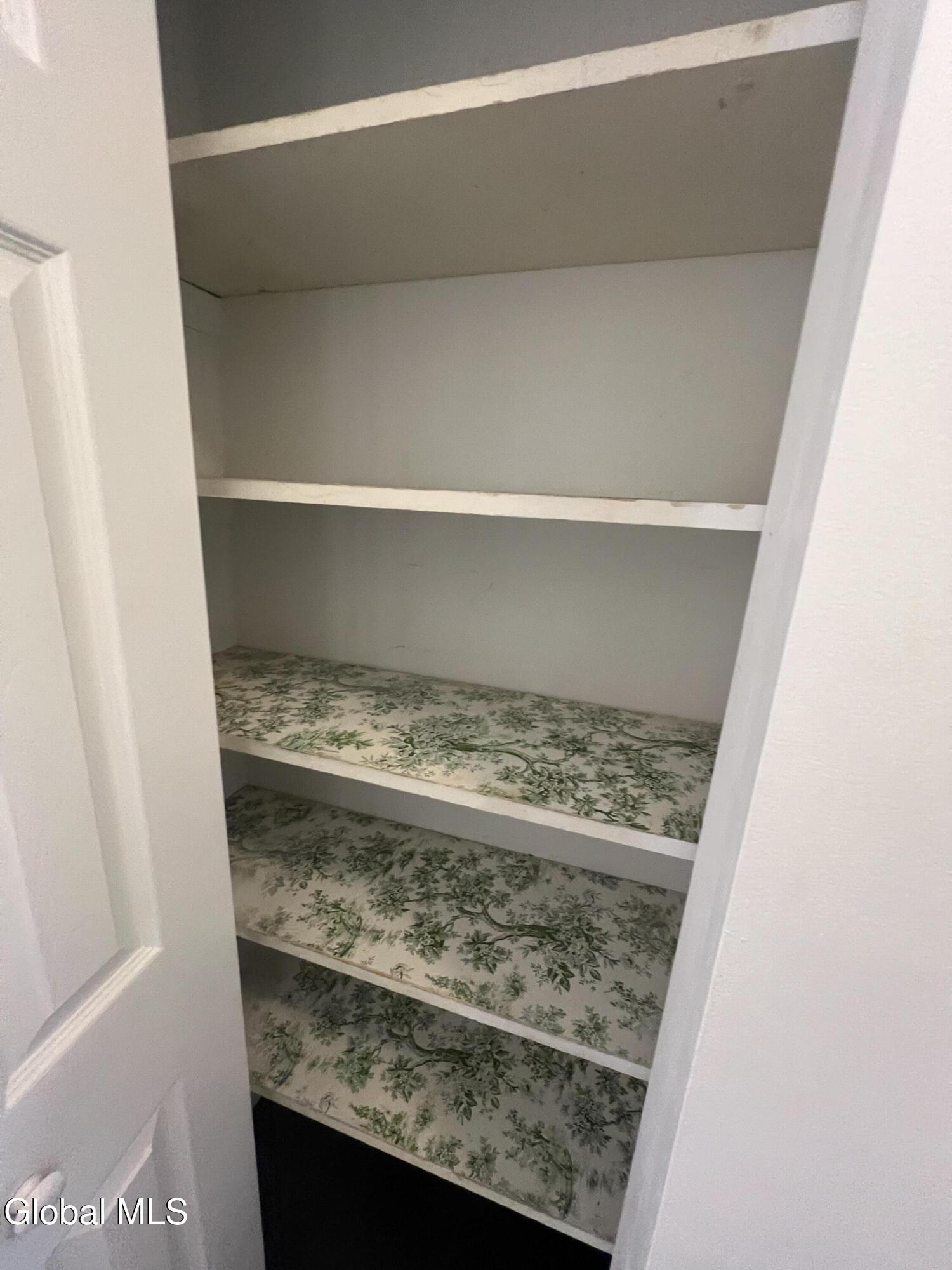 11-21 Ashdown Road, Unit 17E Clifton Park, NY 12019 - Photo 17 of 19 Linen Closet