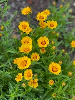 $259,900 | 201 Will Street, Kouts, IN 46347