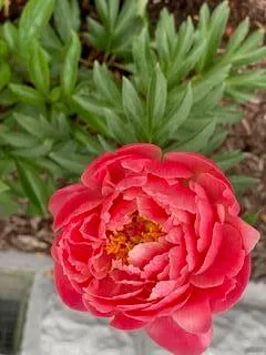 $259,900 | 201 Will Street, Kouts, IN 46347