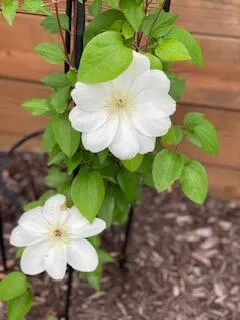 $259,900 | 201 Will Street, Kouts, IN 46347