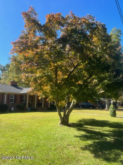 2709 Amherst Road Rocky Mount, NC 27804 - Photo 56 of 61 Tree