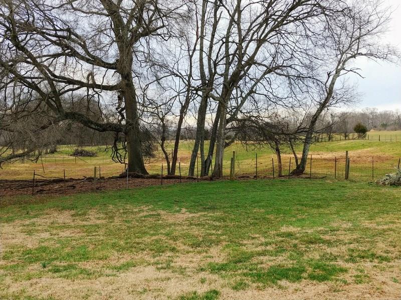 5515 Startown Road Newton, NC 28658 - Photo 25 of 25 Gallery Image 25