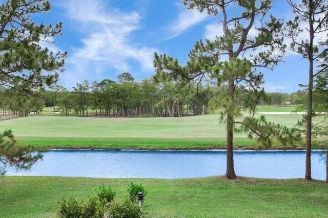 a view of a yard with a tree