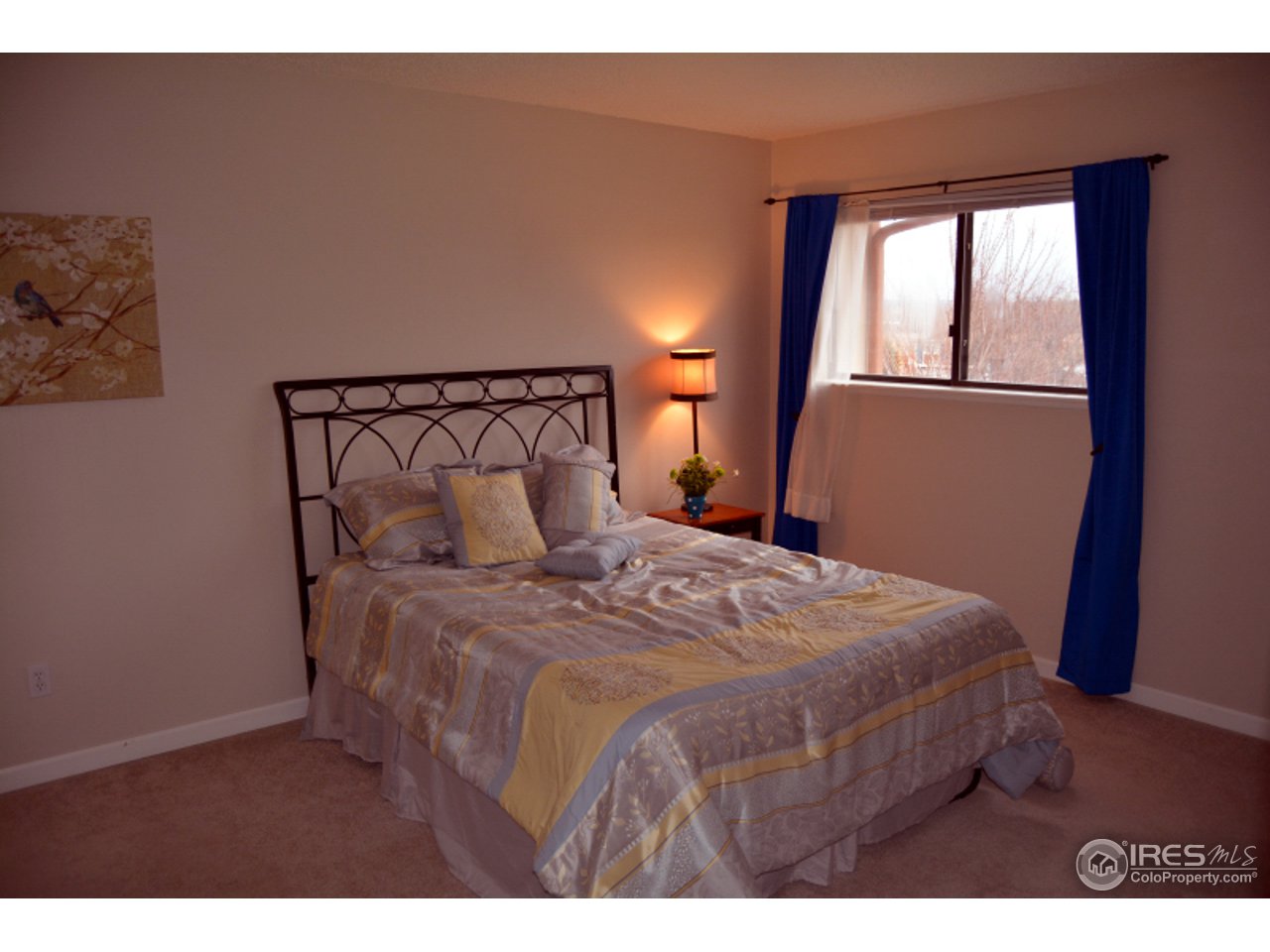 6545 Kalua Road, Unit 301 Boulder, CO 80301 - Photo 18 of 25 Gallery Image 18