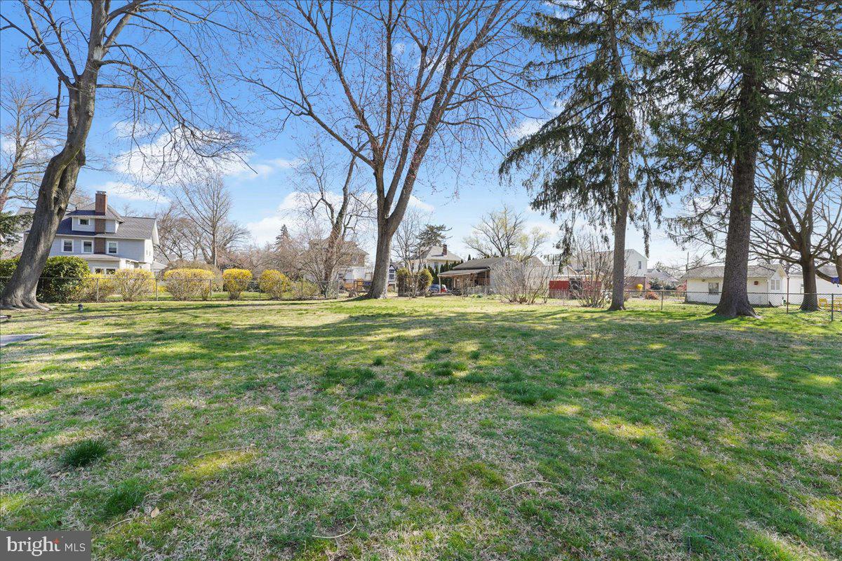 126 President Avenue Rutledge, PA 19070 - Photo 34 of 35 Rear yard