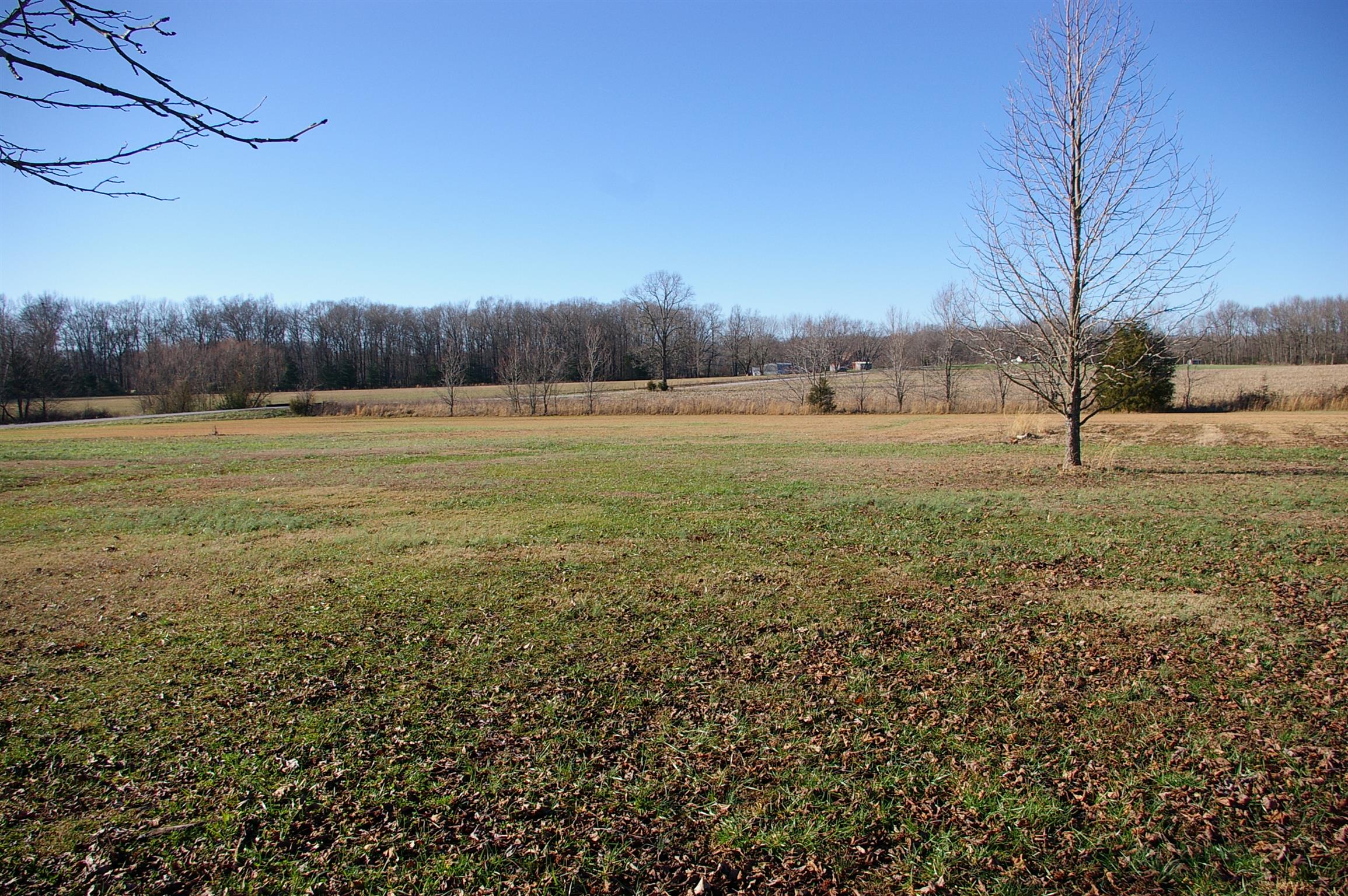 44 Old Pocahontas Road Manchester, TN 37355 - Photo 20 of 20 a view of an outdoor space and a yard