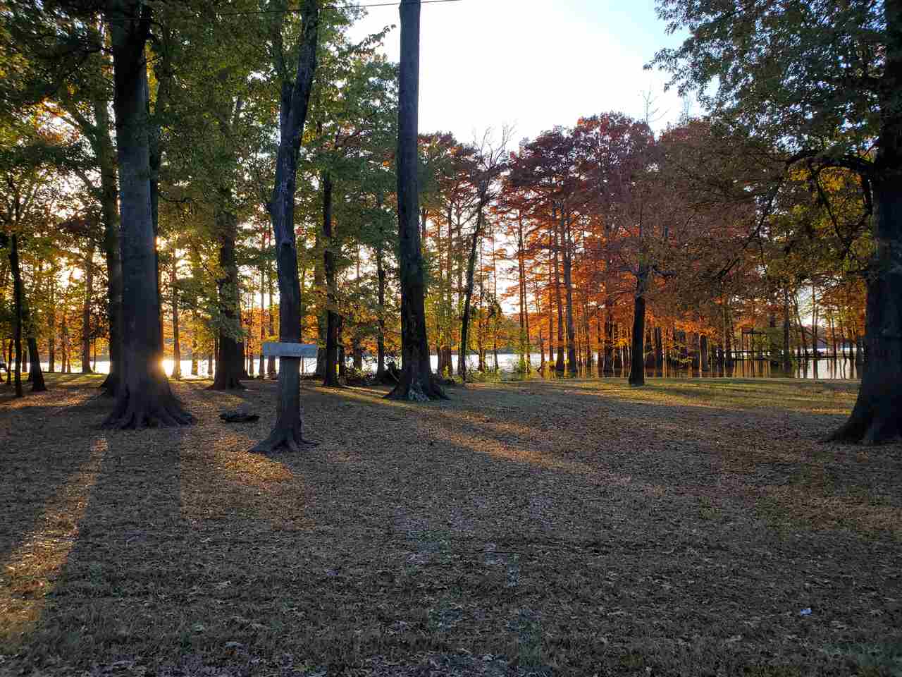 4.03 Chisholm Lake Road Ripley, TN 38063 - Photo 1 of 4