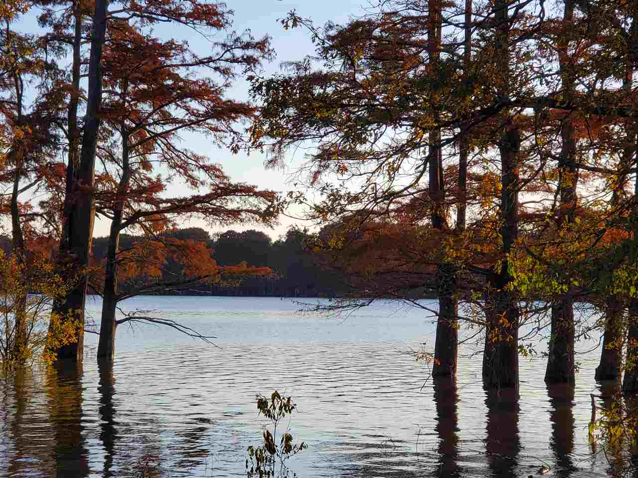 4.03 Chisholm Lake Road Ripley, TN 38063 - Photo 2 of 4