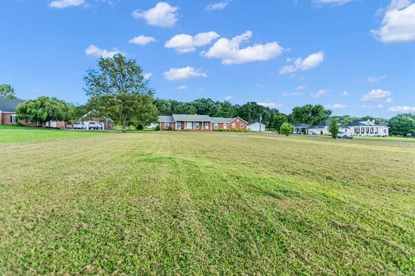 a view of a big yard with a large tree