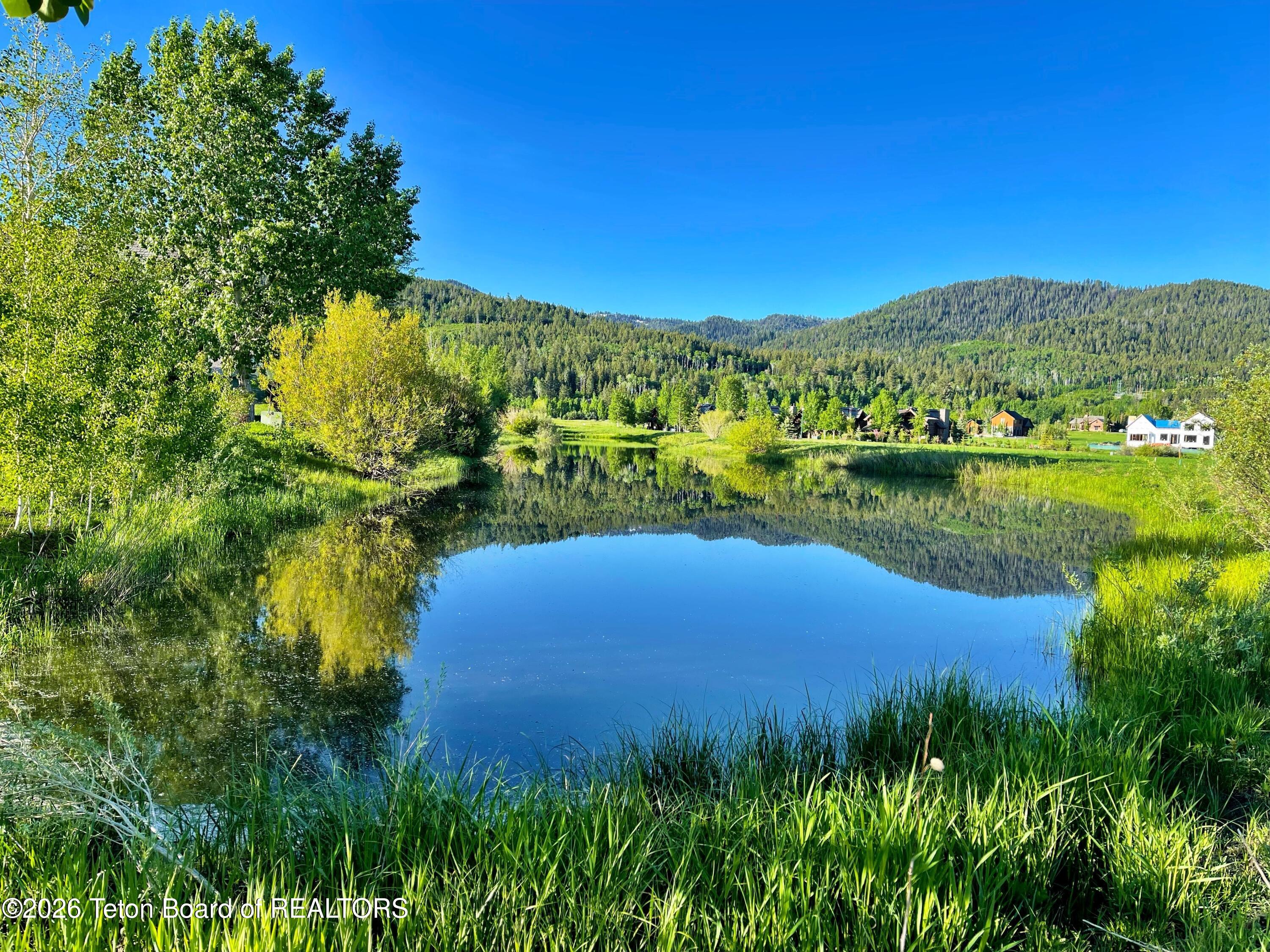 56 Rammell Road Victor, ID 83455 - Photo 27 of 28 View of Targhee National Forest