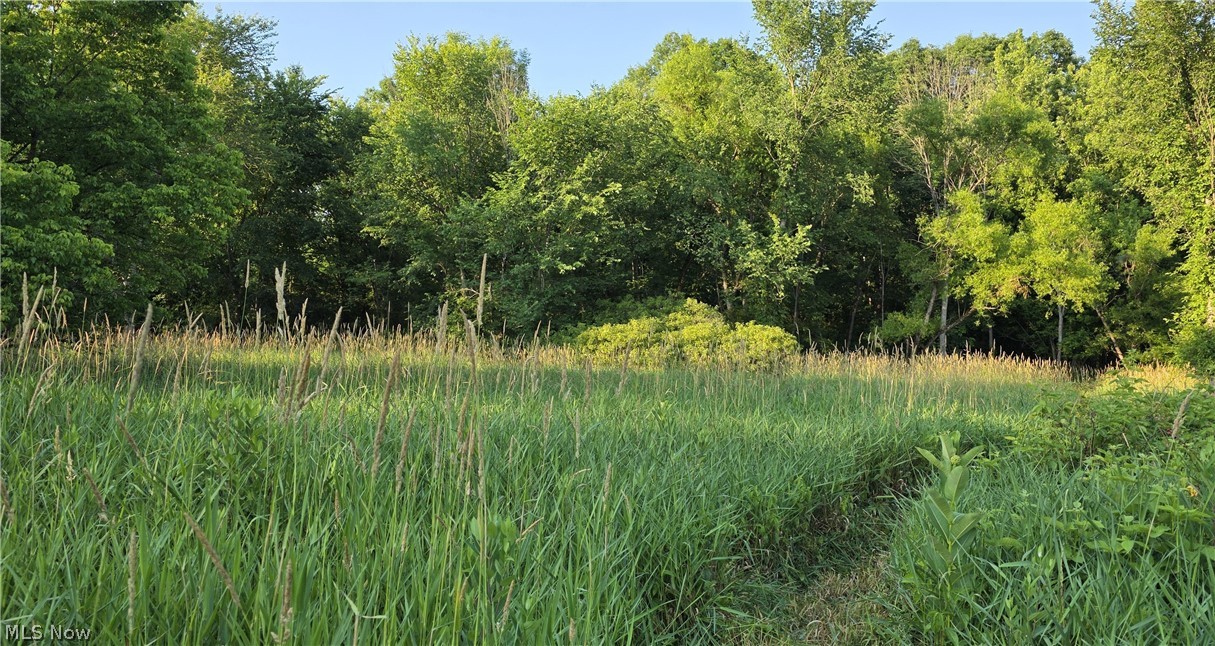6820 Crane Run Road Cumberland, OH 43732 - Photo 10 of 29 Expansive field of natural grasses bordered by mature trees