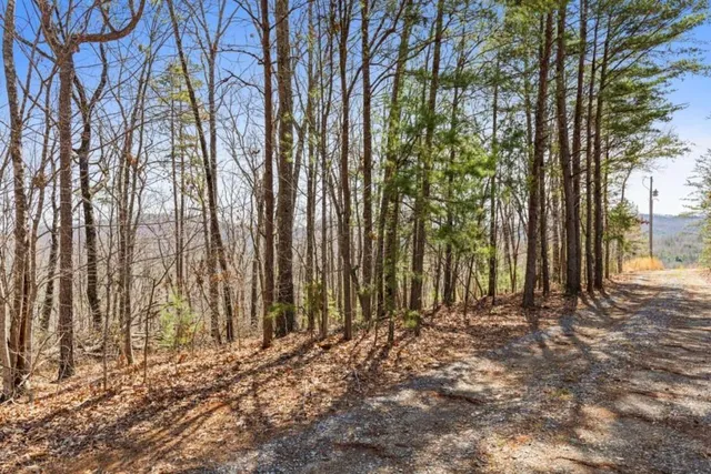 a view of backyard with green space