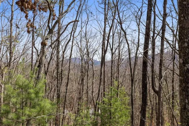 a view of backyard with green space