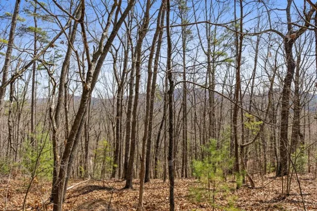 $99,900 | 40 A Synacia Drive, Mineral Bluff, GA 30559