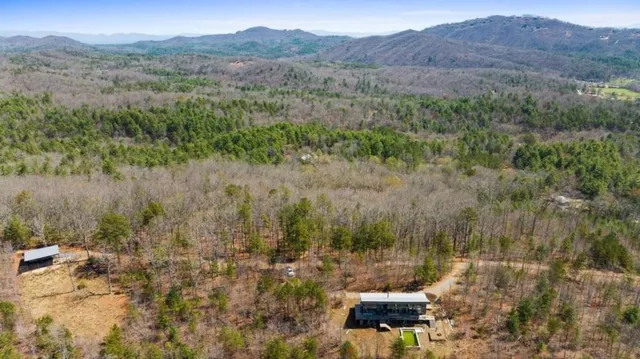a view of a lush green forest with trees in front of it