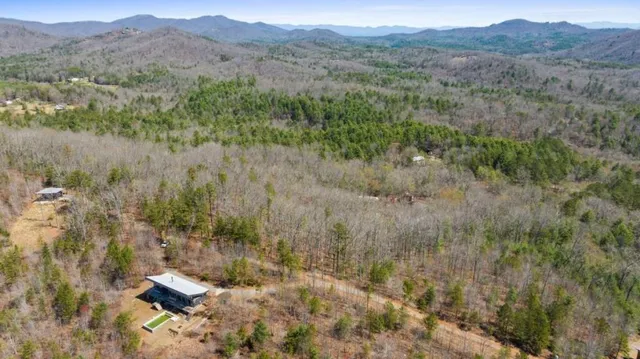 a view of a forest with lush green forest