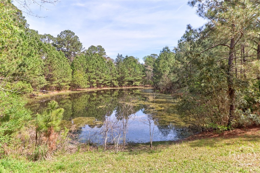 1679 Hodgeville Road Rincon, GA 31326 - Photo 25 of 30