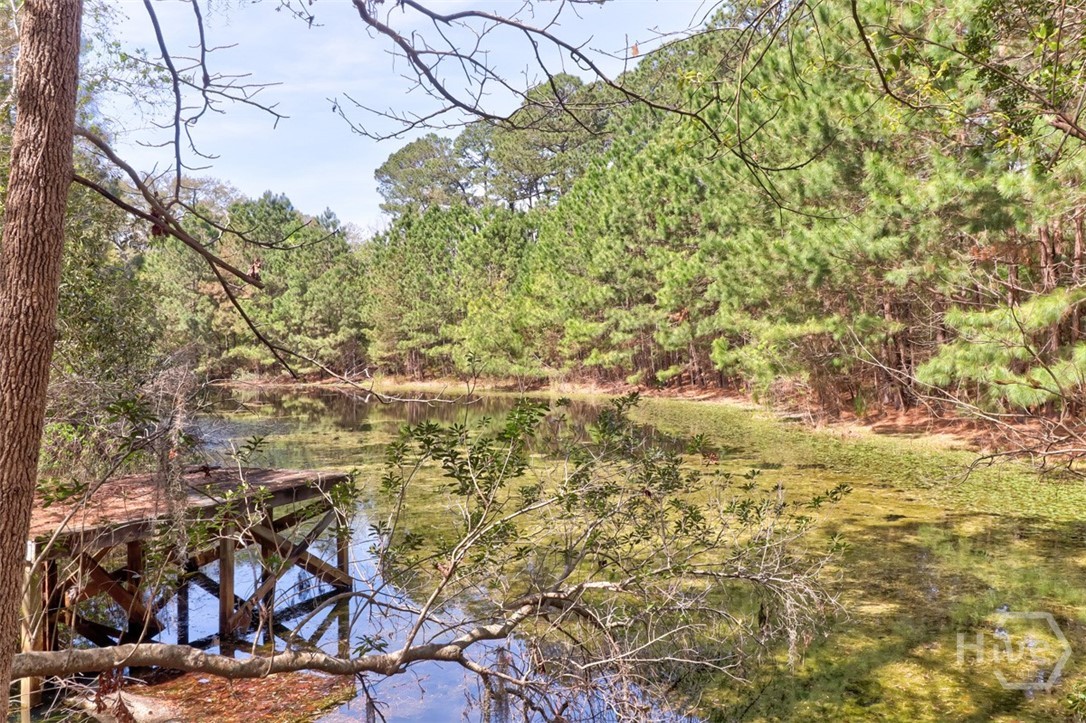 1679 Hodgeville Road Rincon, GA 31326 - Photo 26 of 30