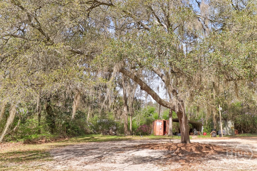 1679 Hodgeville Road Rincon, GA 31326 - Photo 7 of 30