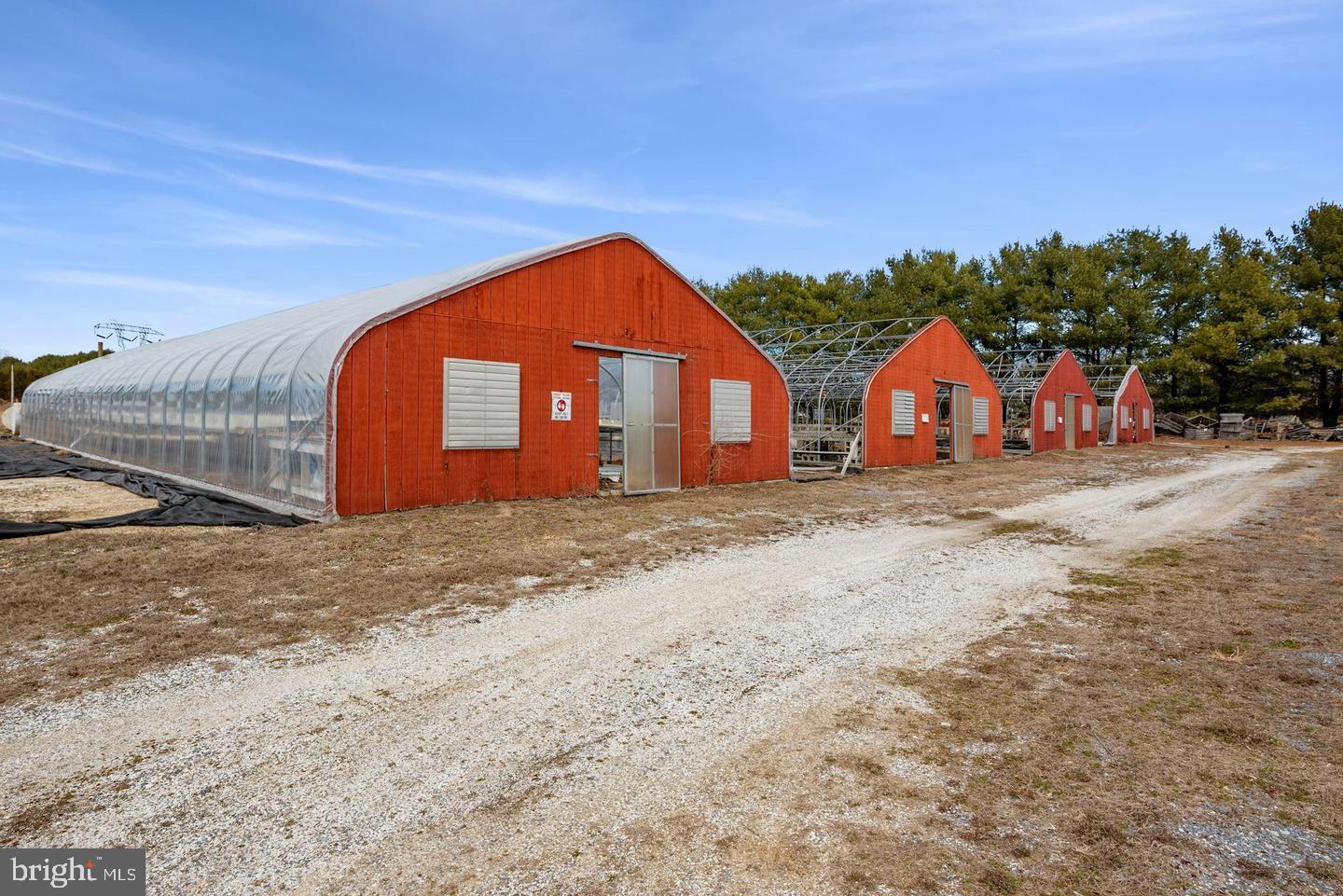 601 Quinton-Marlboro Road Bridgeton, NJ 08302 - Photo 17 of 17 a view of large house with a big yard and large tree