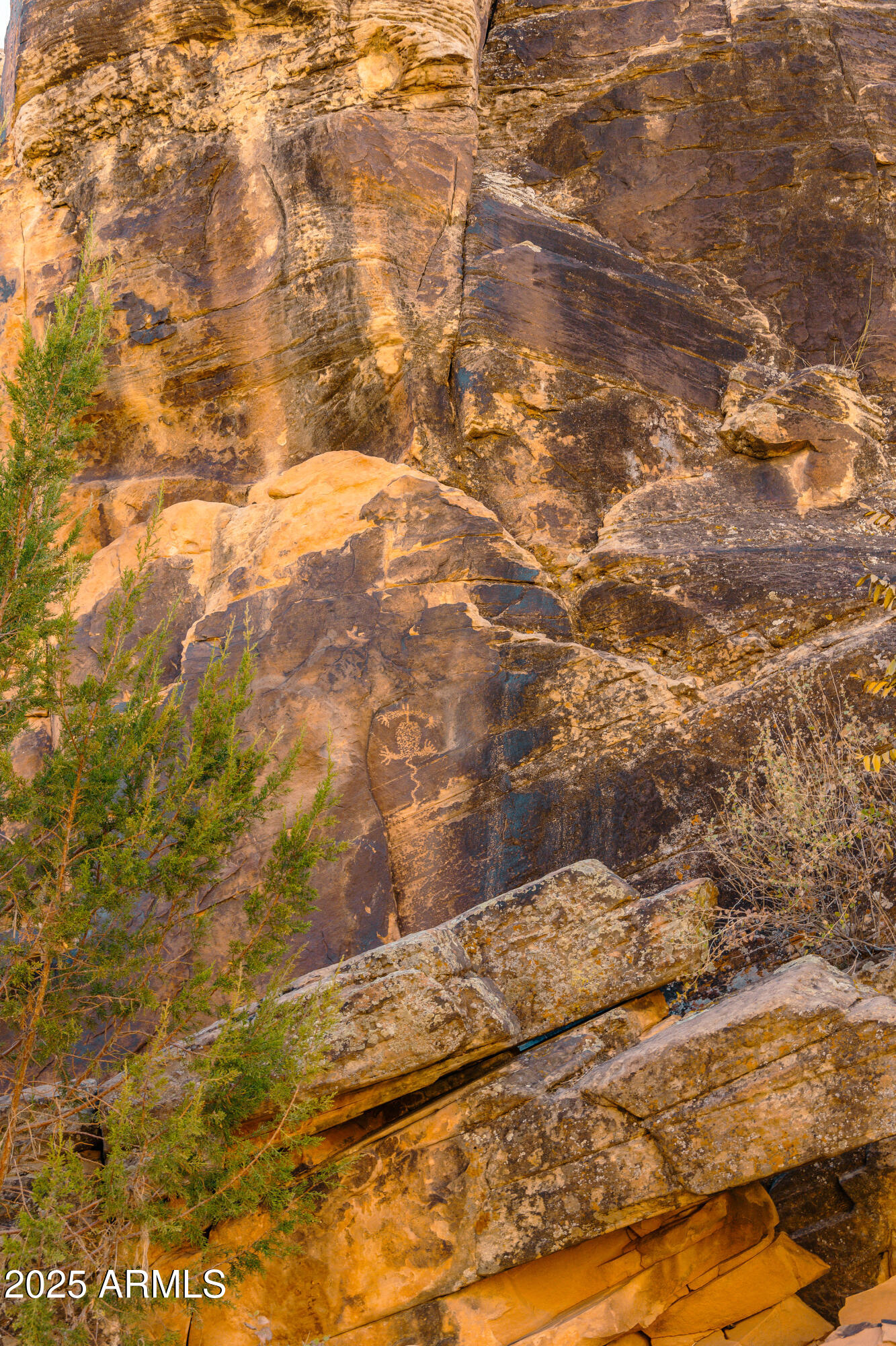 0 Bell Cow Aka Rock Art Ranch Road, Unit 11 Winslow, AZ 86047 - Photo 22 of 70 15