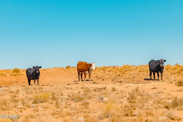 $18,000,000 | 0 Bell Cow Aka Rock Art Ranch Road, Unit 11, Winslow, AZ 86047